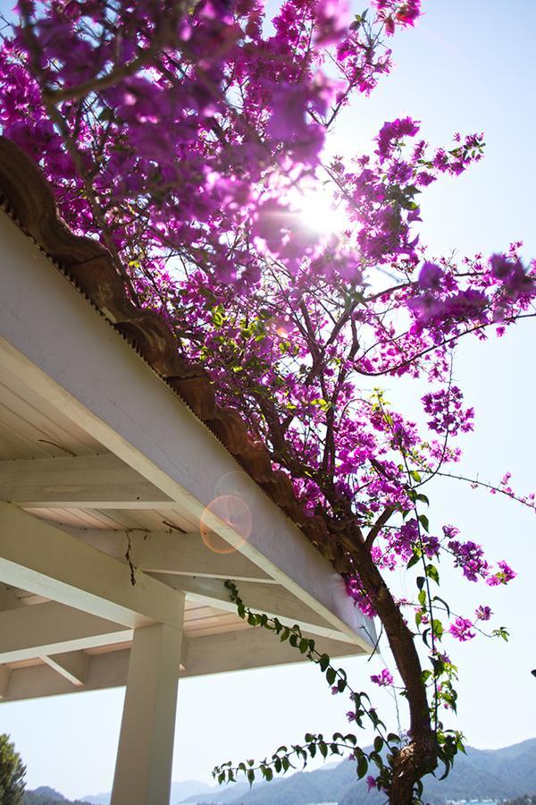 Gocek Hills Villa *