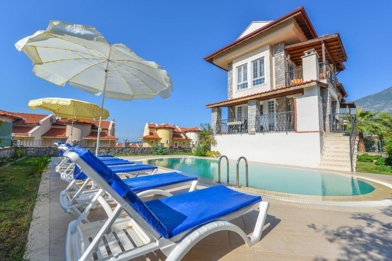 Reyonu - Mimoza * Fethiye