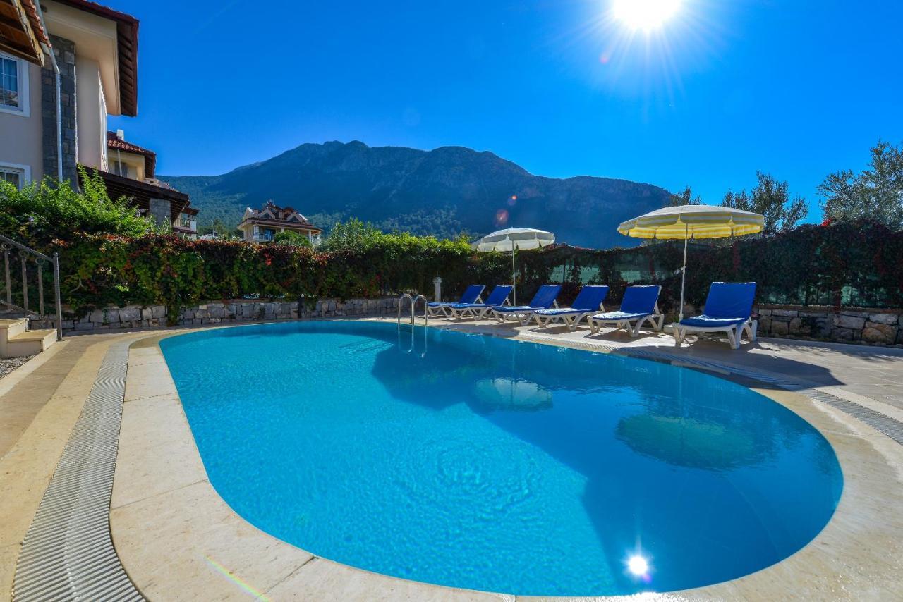 Reyonu - Mimoza Holiday home