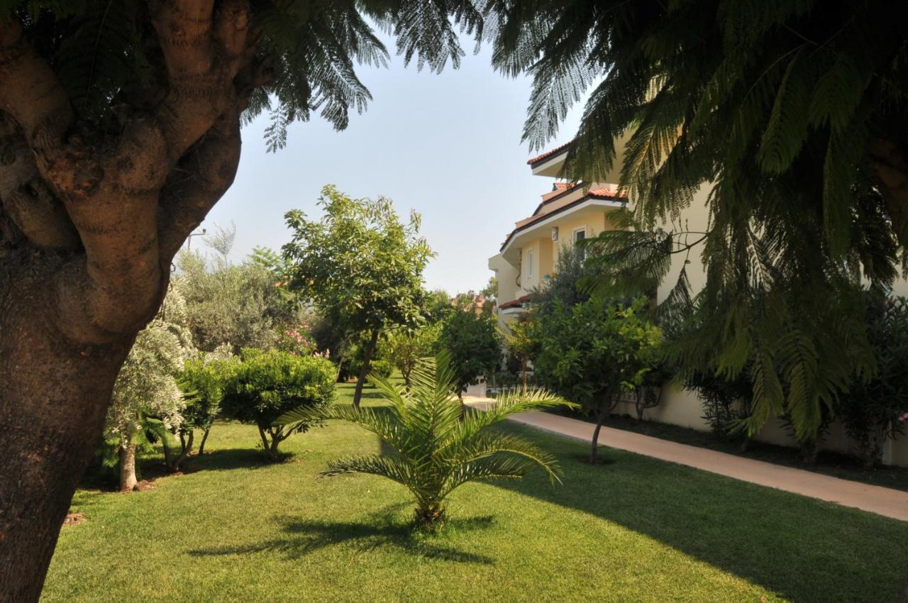 Seaside 17 Villa
