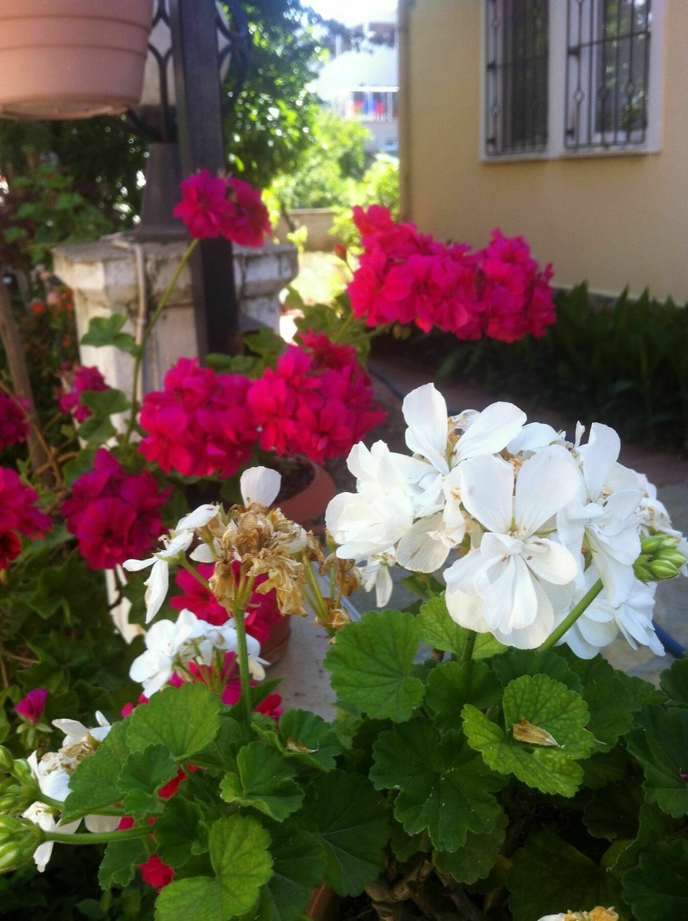 Besik Hotel Fethiye