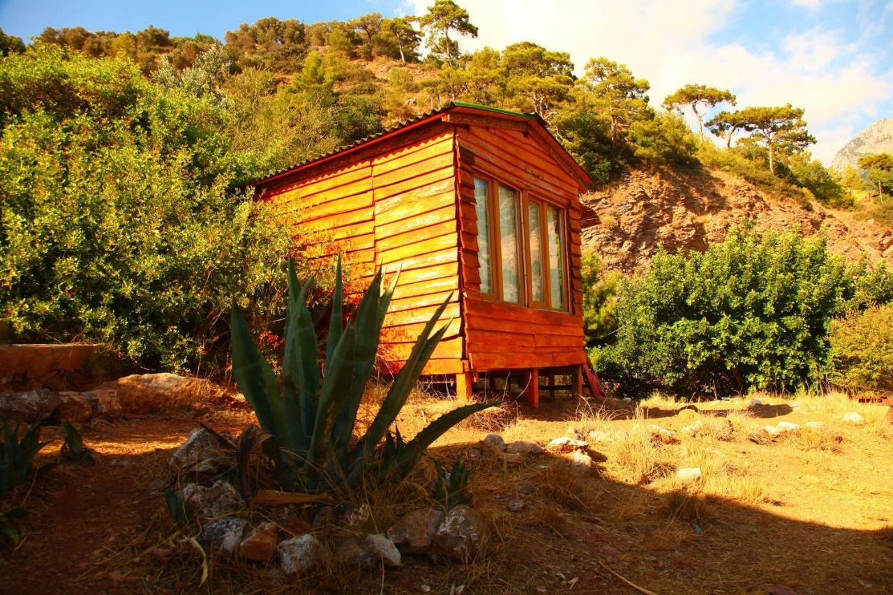 Campsite Cosmos Lounge Fethiye