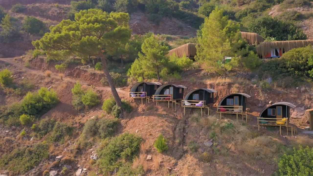 Cosmos Lounge Campsite *