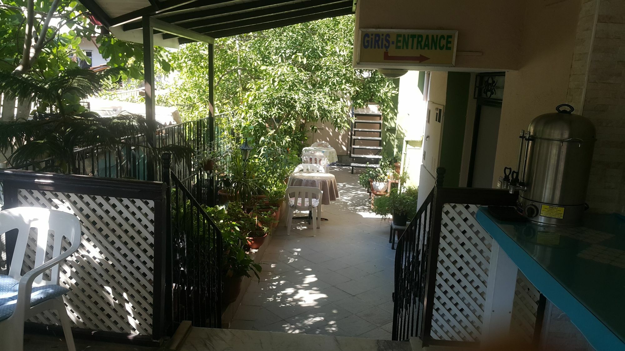 Cicek & Fethiye
