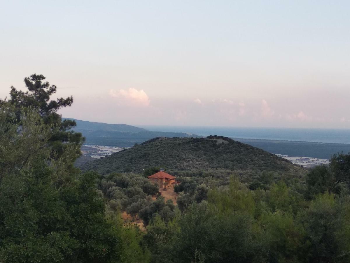 Villa Secret Haven *