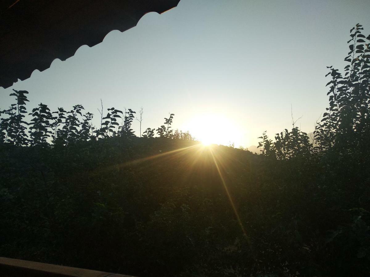 Villa Secret Haven Fethiye