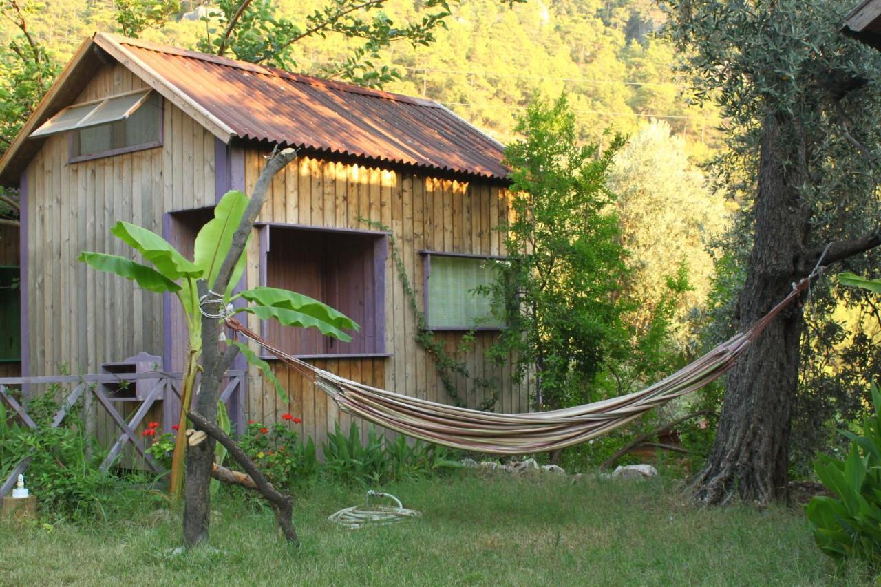 Sultan Camp Campsite Fethiye