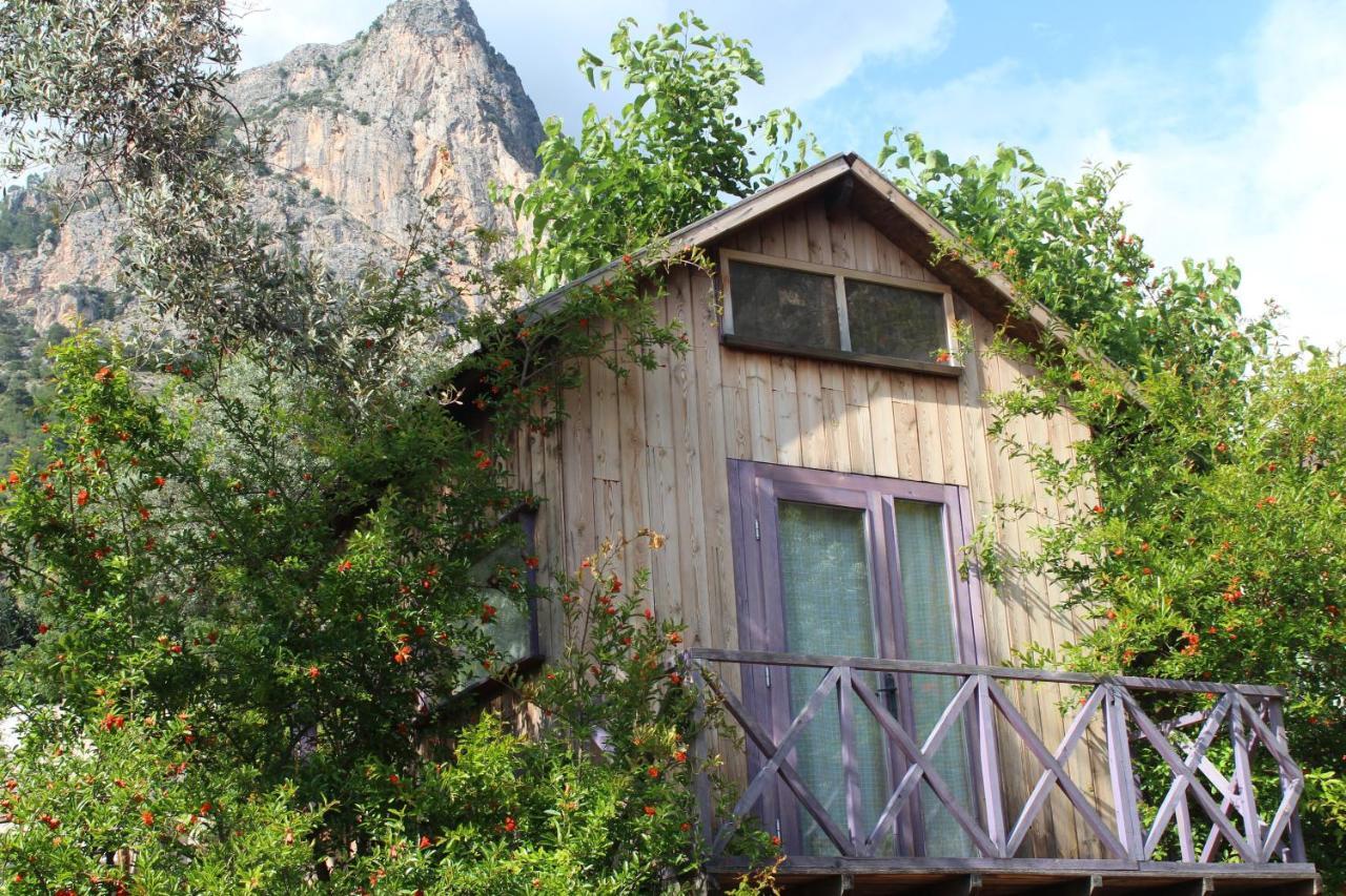 Sultan Camp Campsite Fethiye