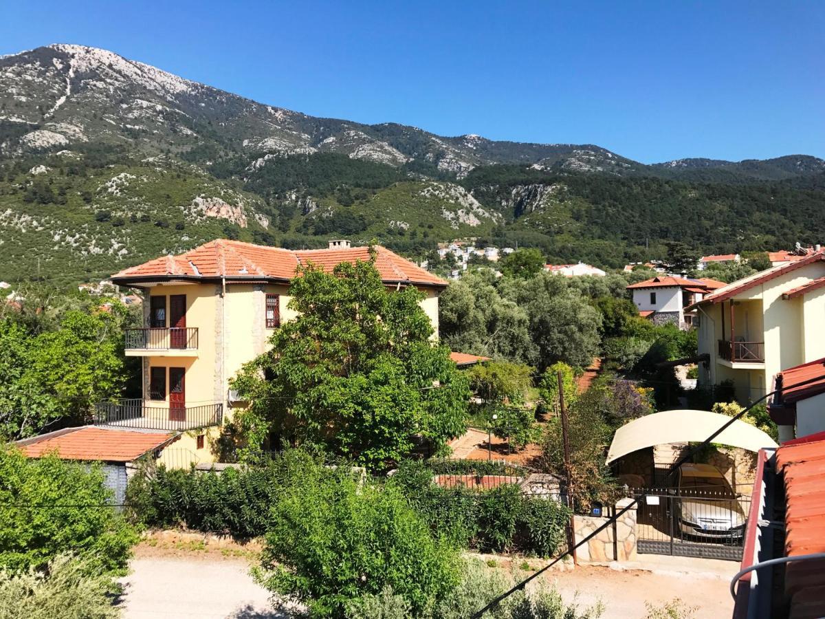 Nature Doğa ölüdeniz 2*