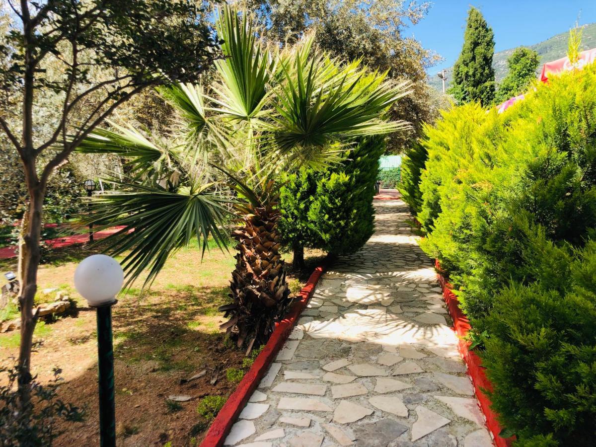 Nature Doğa ölüdeniz Hotel 2*