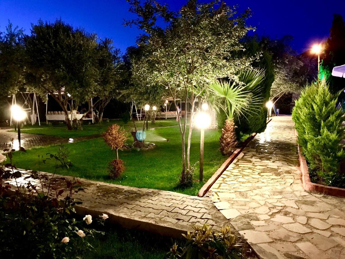 Nature Doğa ölüdeniz 2*
