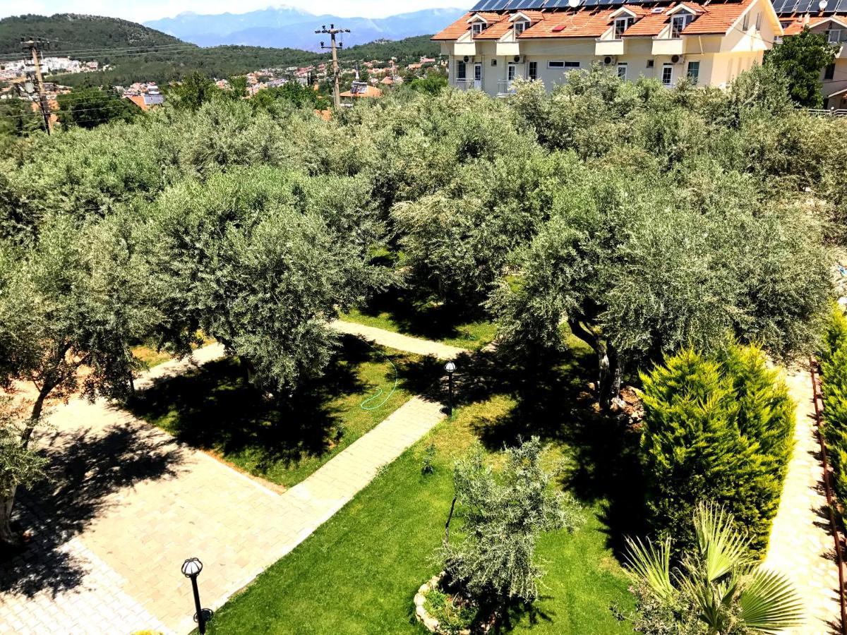 Nature Doğa ölüdeniz 2*