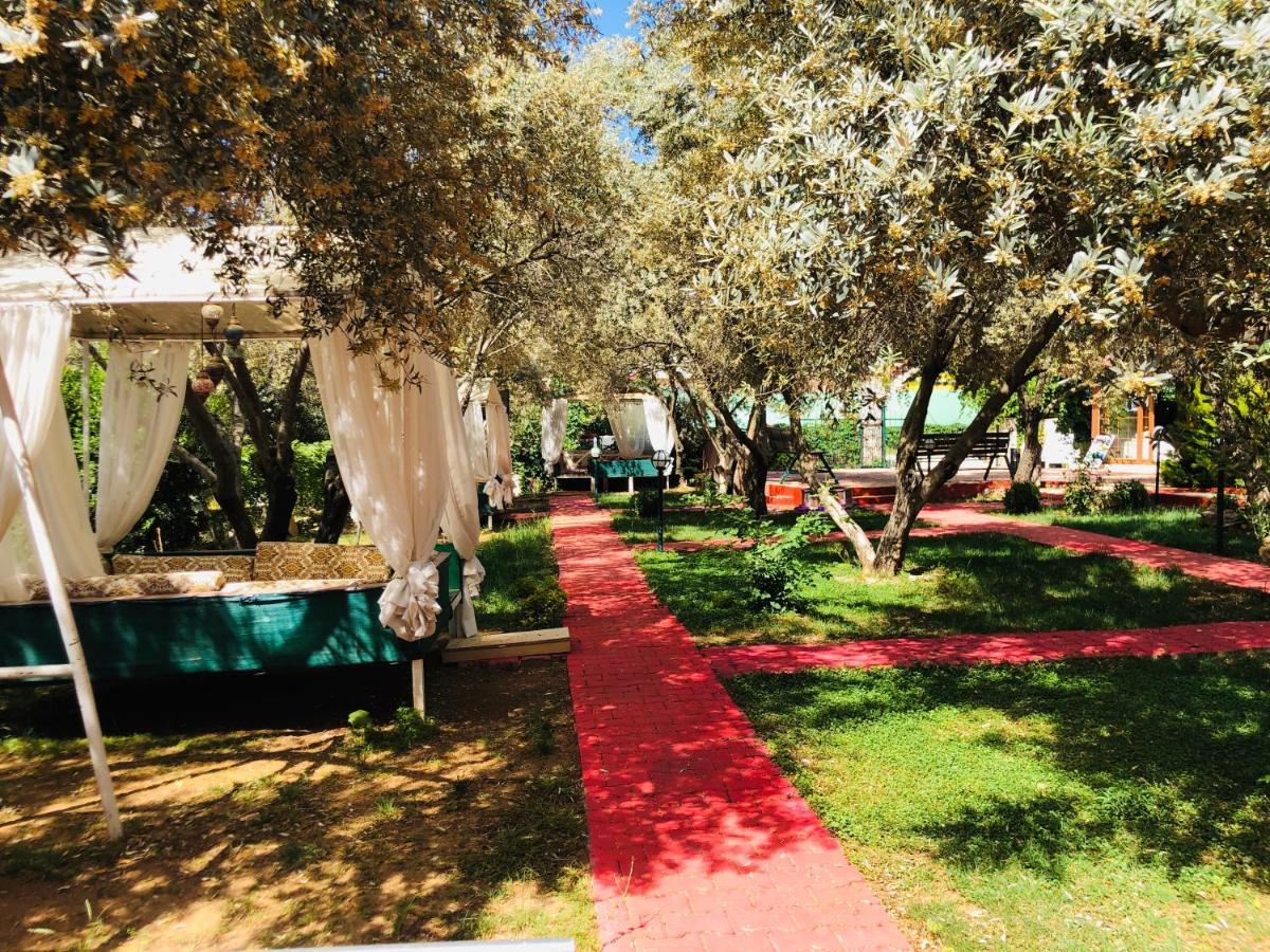 Nature Doğa ölüdeniz Hotel Fethiye