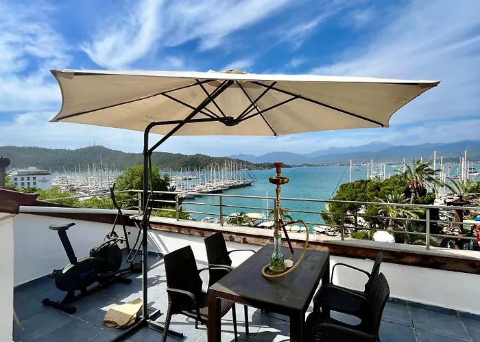 Terrace 1