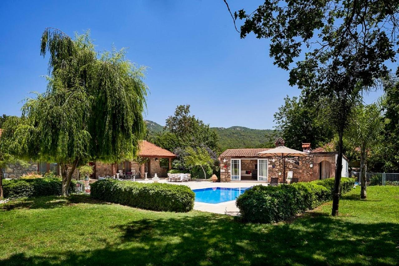Villa Ada Dreams / Village