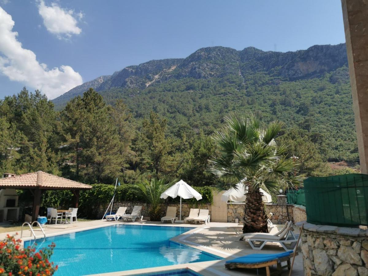 Villa Beatrice Large Family *