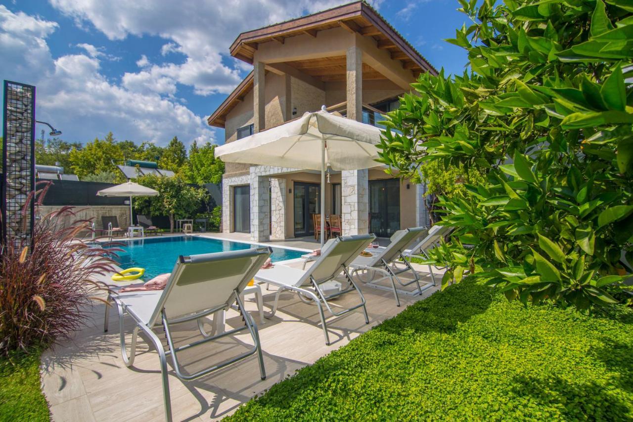 Volans Villa