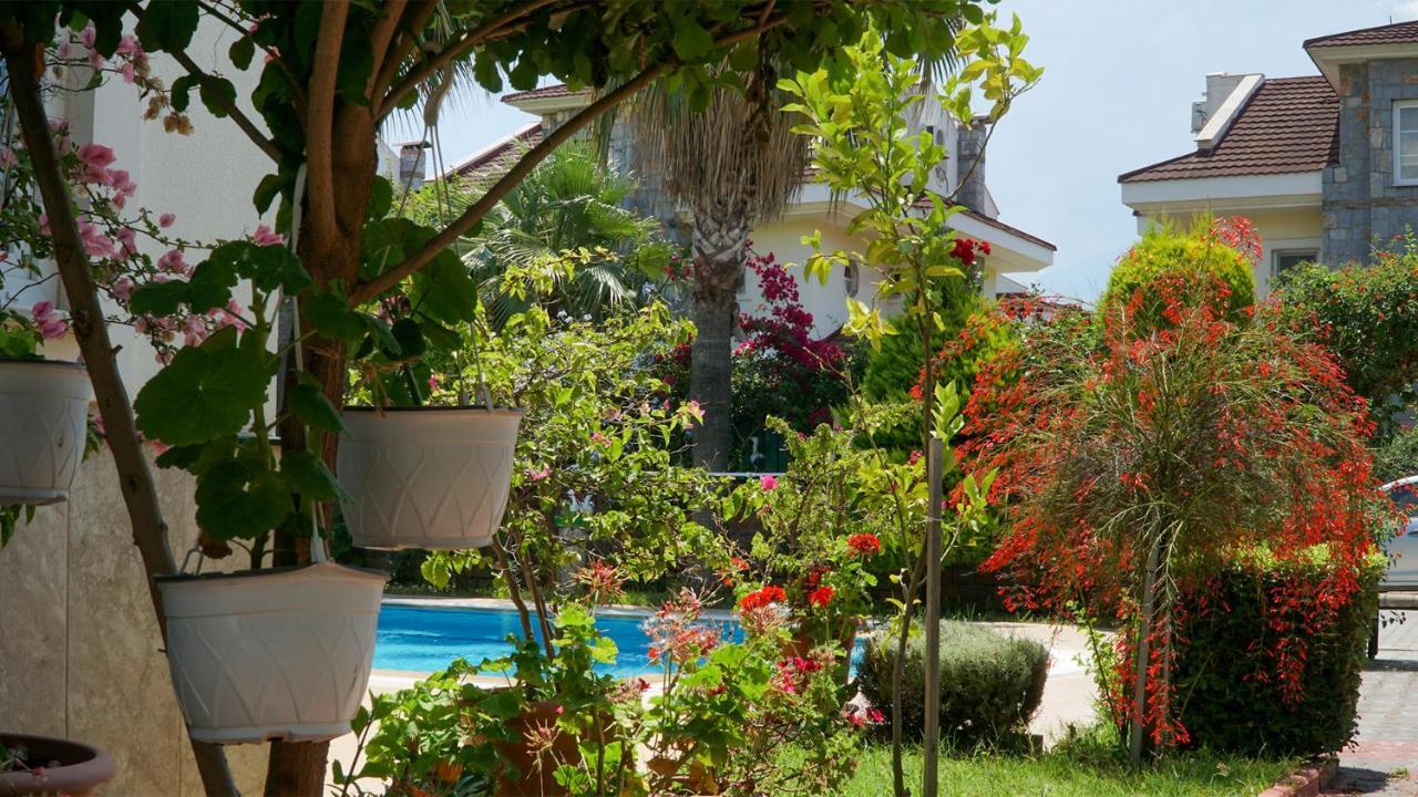 Villa Yavuz Fethiye