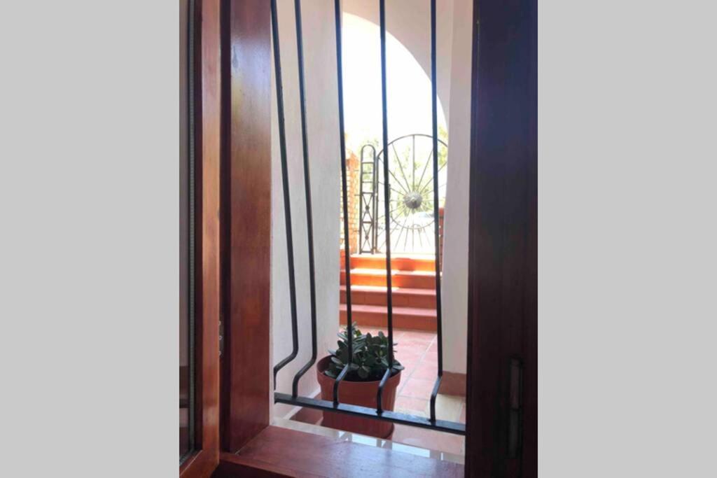 A Summer House Is Close To The Sea With A Garden