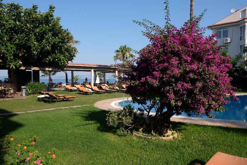 Mutlu 3*