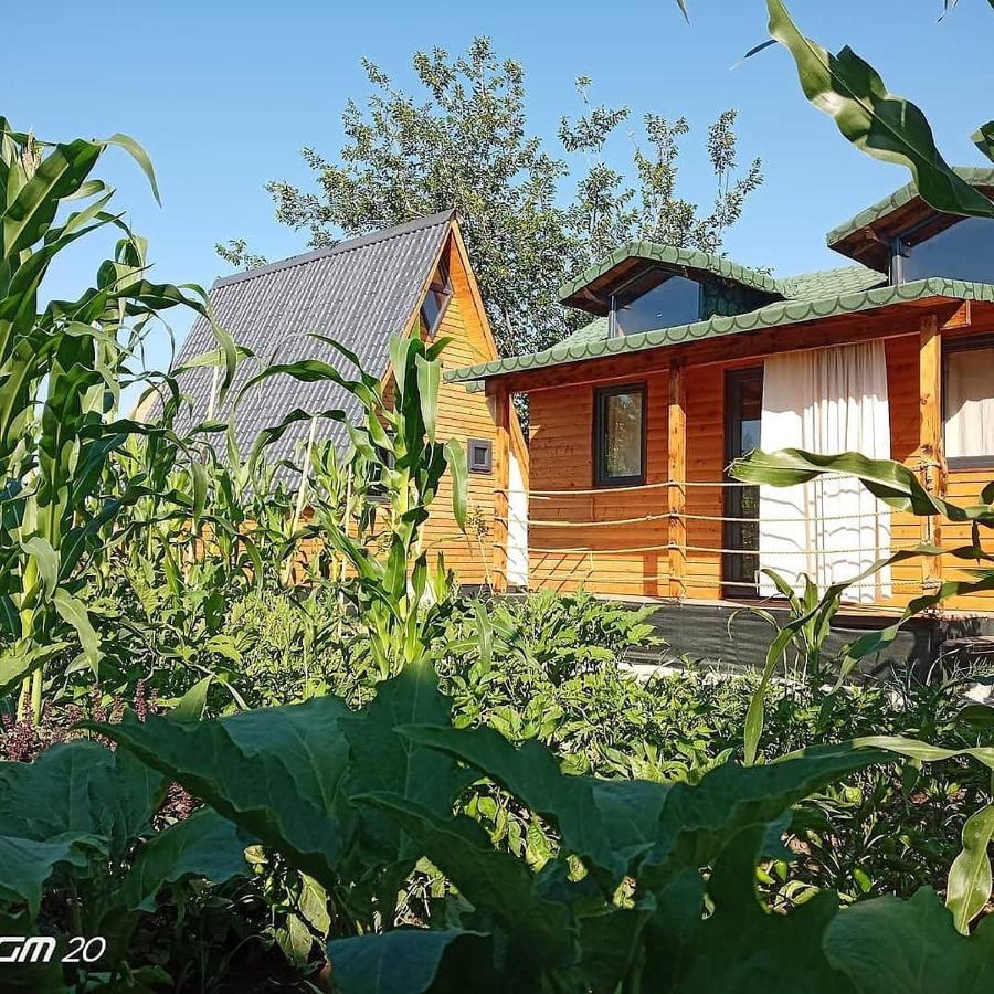 Cakir Bey Bungalov Vakantiehuis *
