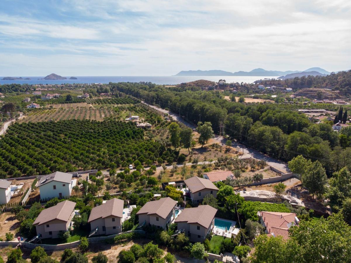 Volans Fethiye