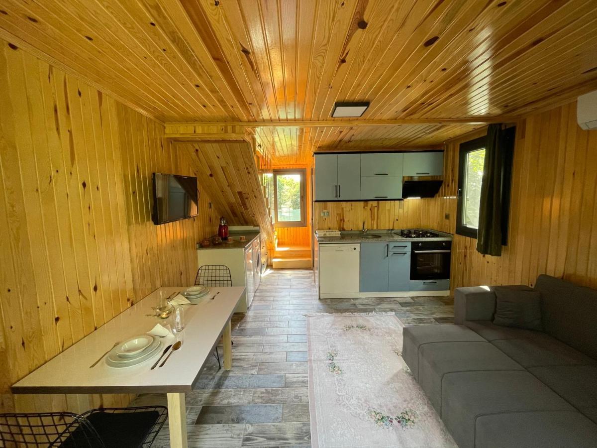 Avohomes *