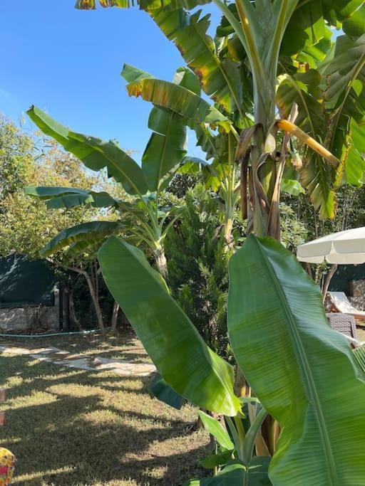 Private On Center. Fethiye