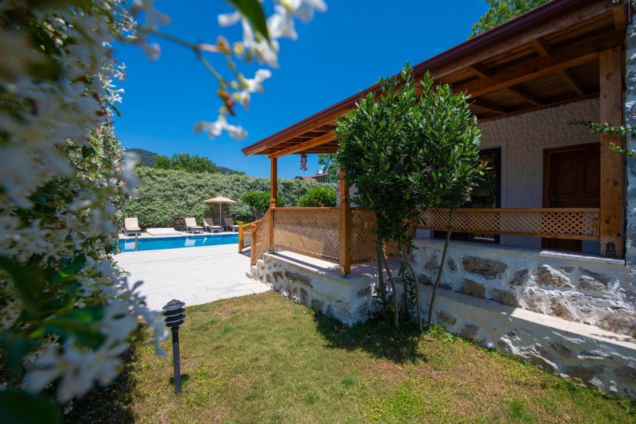 Villa Eroglu *