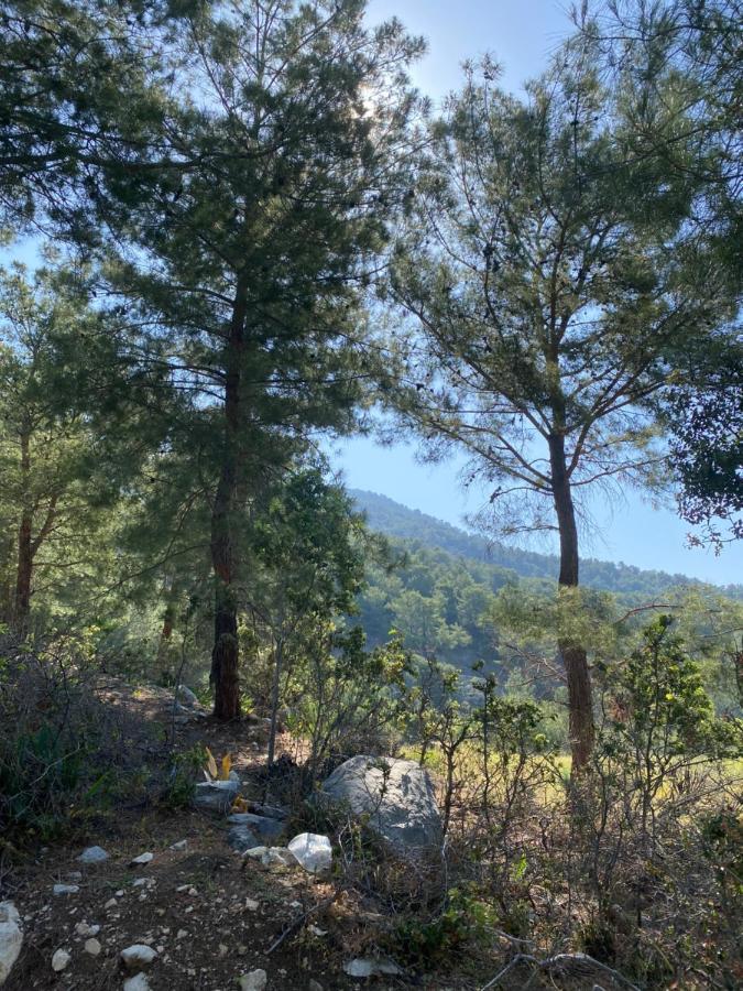 Apartment Beyza Fethiye