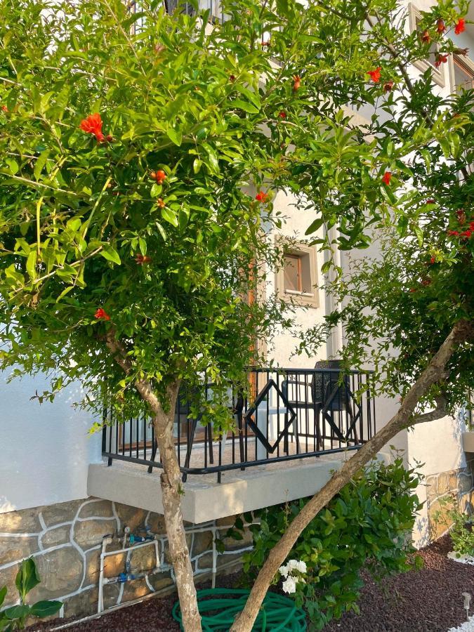 Otel Cennet 3*