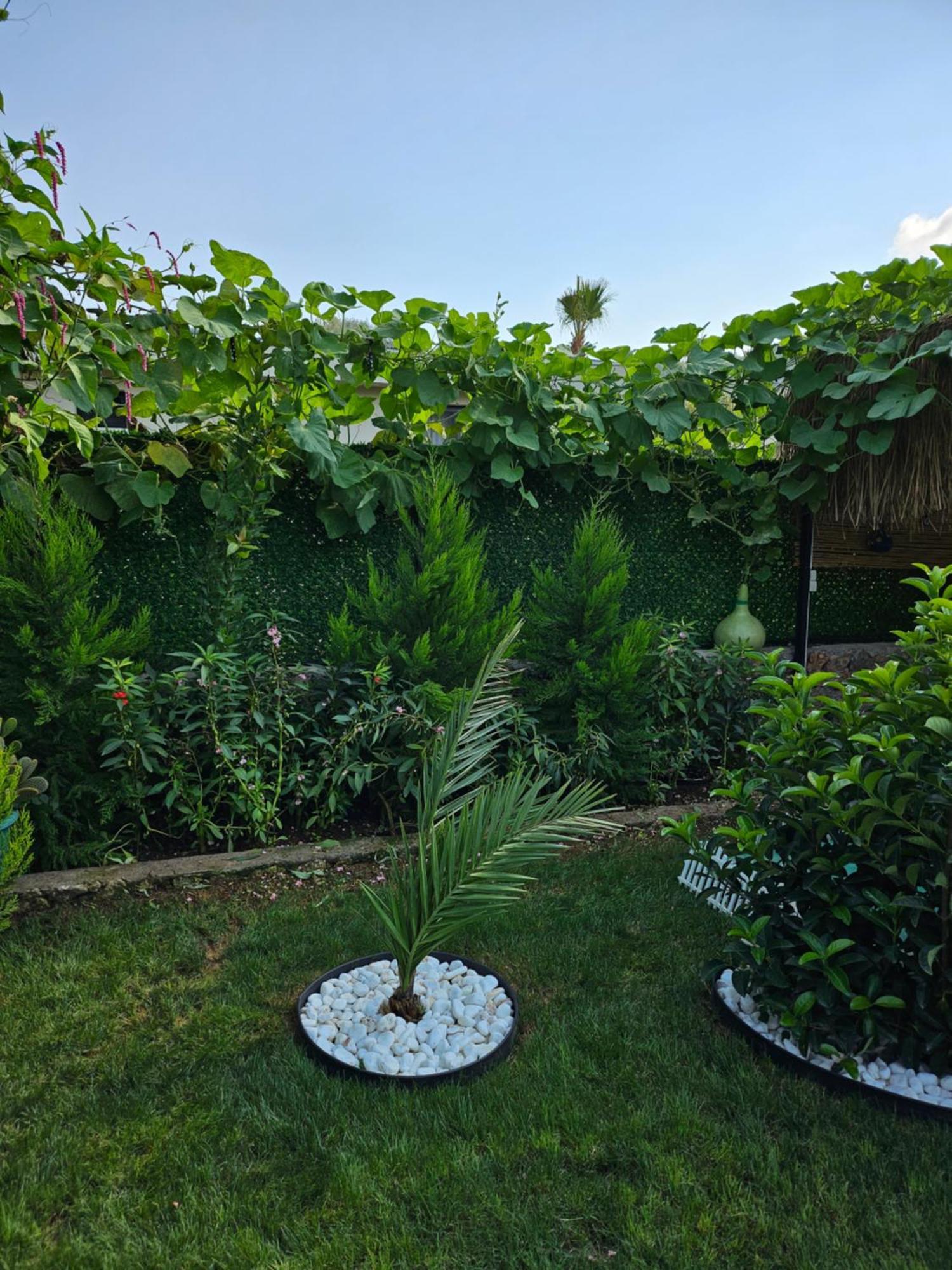 Villa Arkaya Tinyhouse