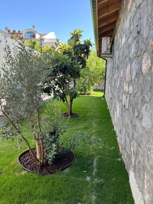 Villa Gizem Fethiye