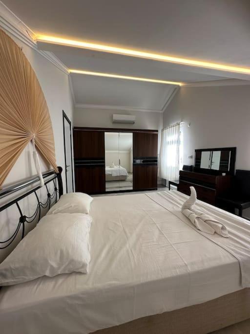 Camelia House Apartment