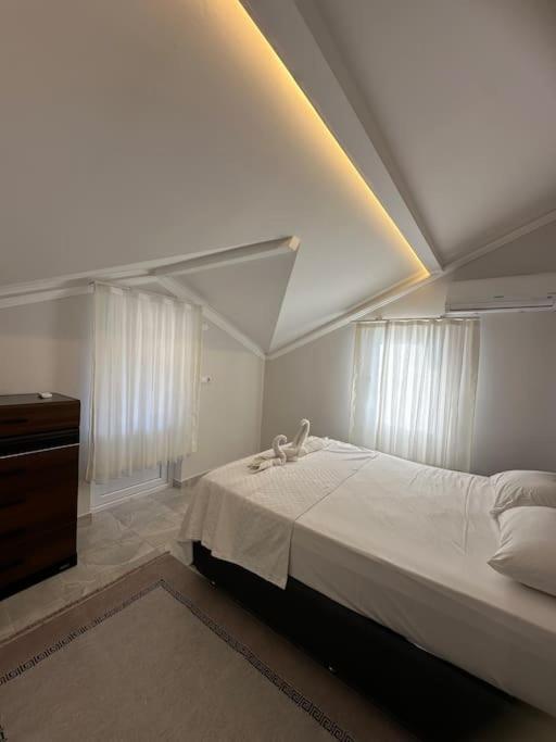Apartment Camelia House