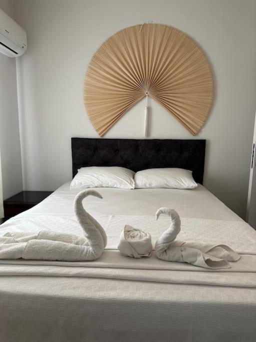 Apartment Camelia House