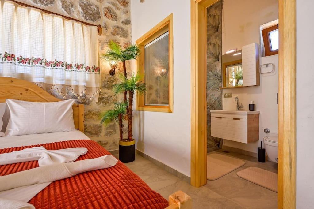 Villa Canoezue 3