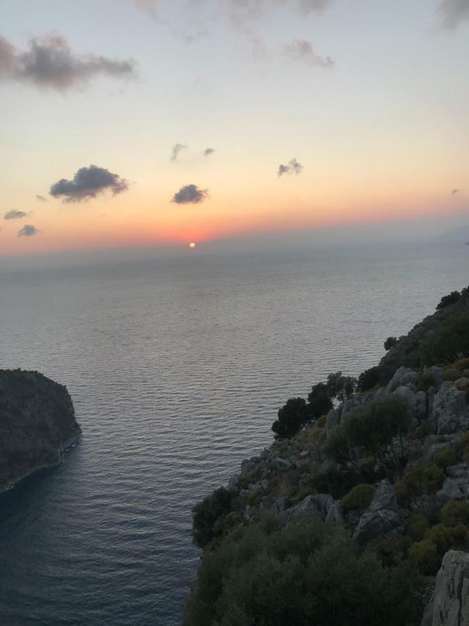 Calis 2
