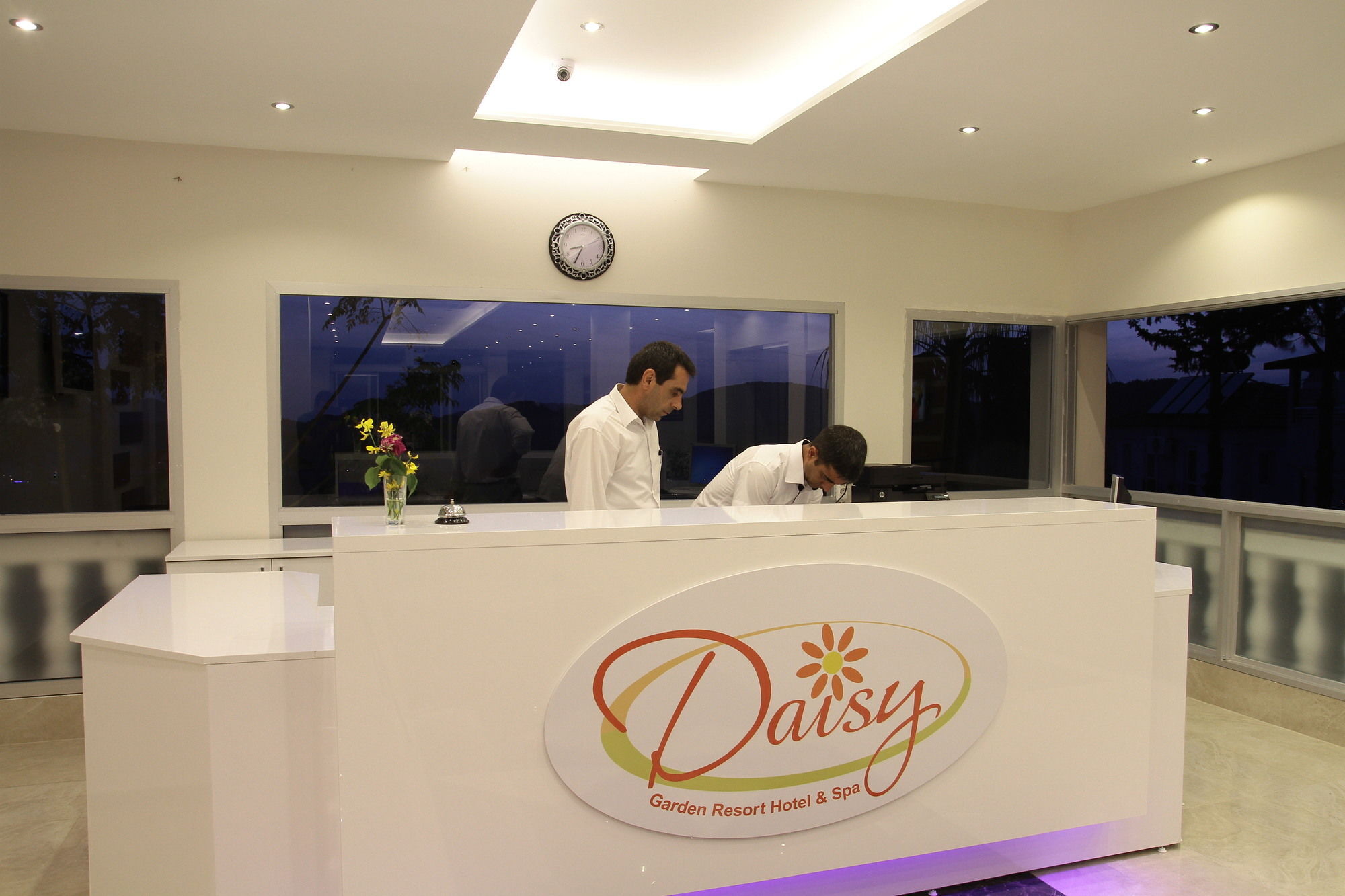 Daisy Garden