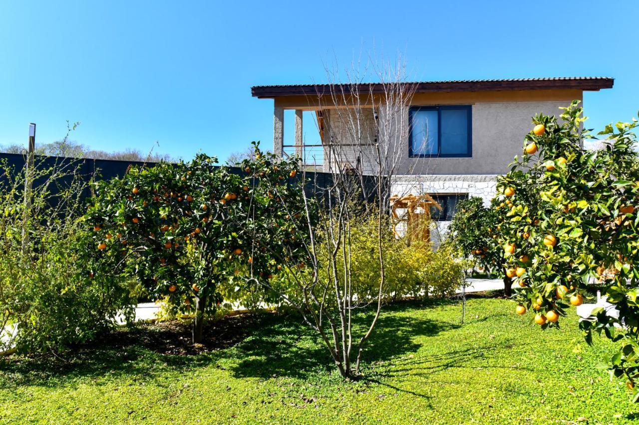 Volans Villa